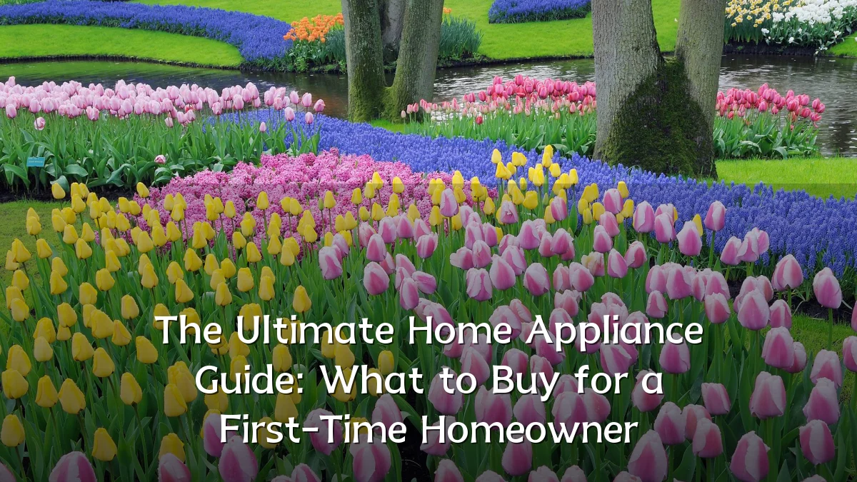 The Ultimate Home Appliance Guide: What to Buy for a First-Time Homeowner