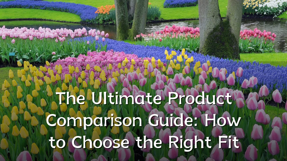 The Ultimate Product Comparison Guide: How to Choose the Right Fit