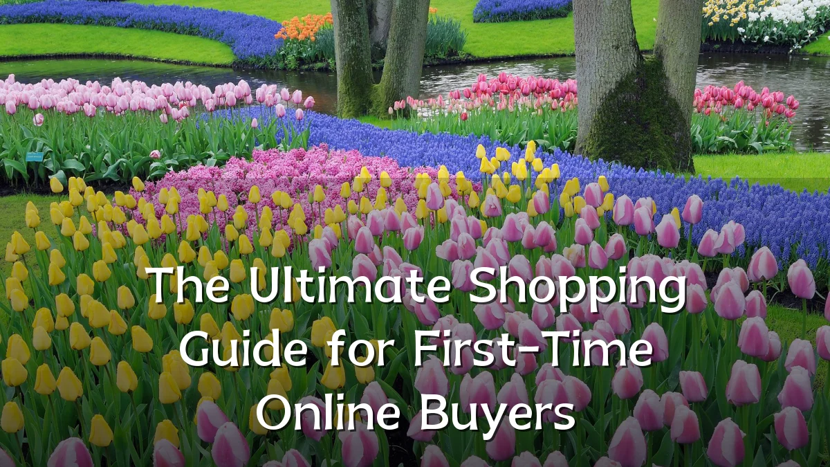 The Ultimate Shopping Guide for First-Time Online Buyers