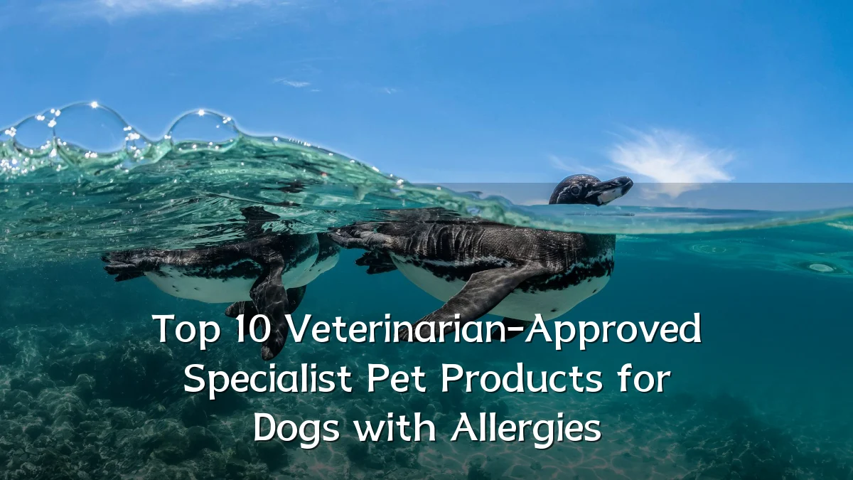 Top 10 Veterinarian-Approved Specialist Pet Products for Dogs with Allergies