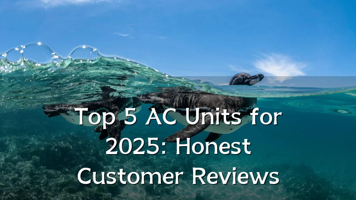 Top 5 AC Units for 2025: Honest Customer Reviews