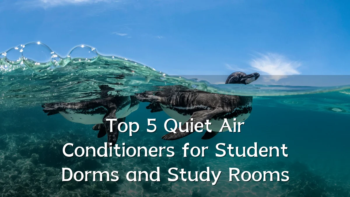 Top 5 Quiet Air Conditioners for Student Dorms and Study Rooms