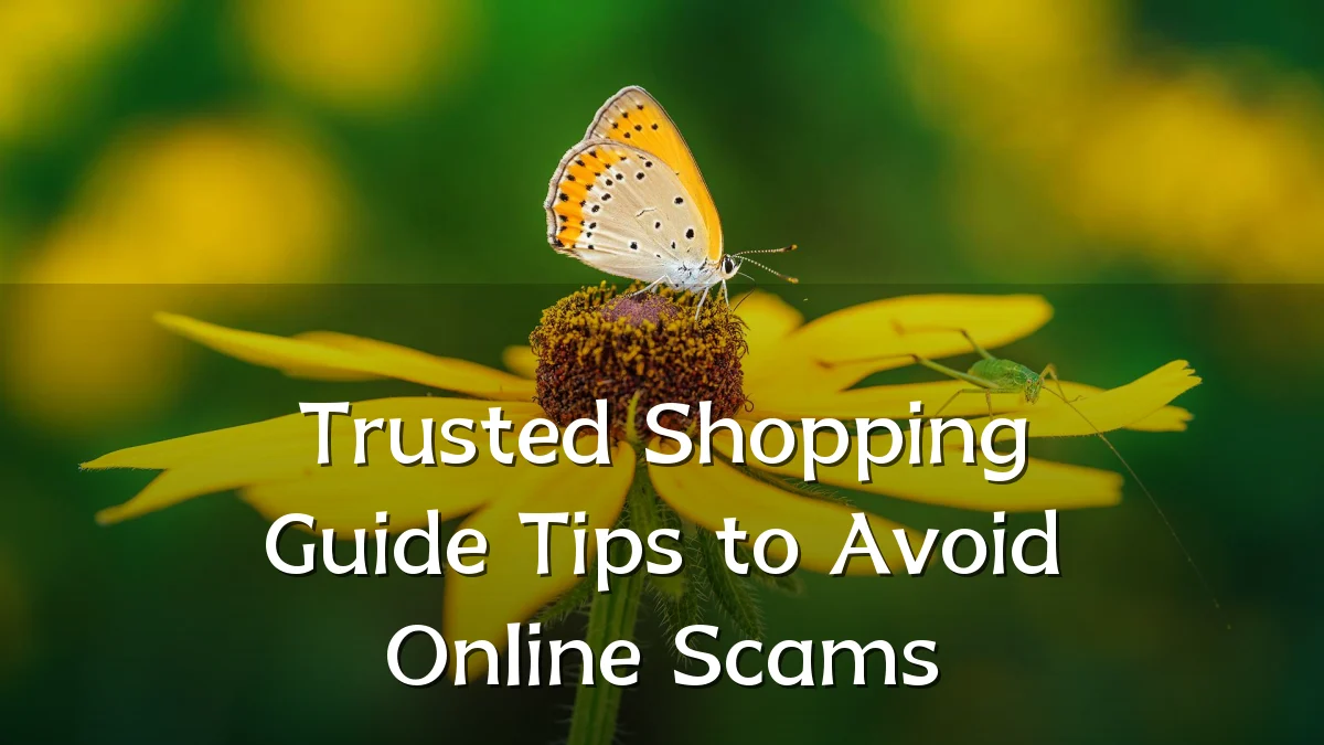 Trusted Shopping Guide Tips to Avoid Online Scams