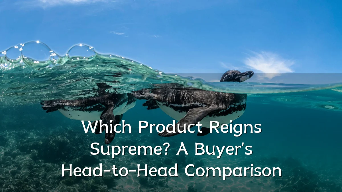 Which Product Reigns Supreme? A Buyer's Head-to-Head Comparison