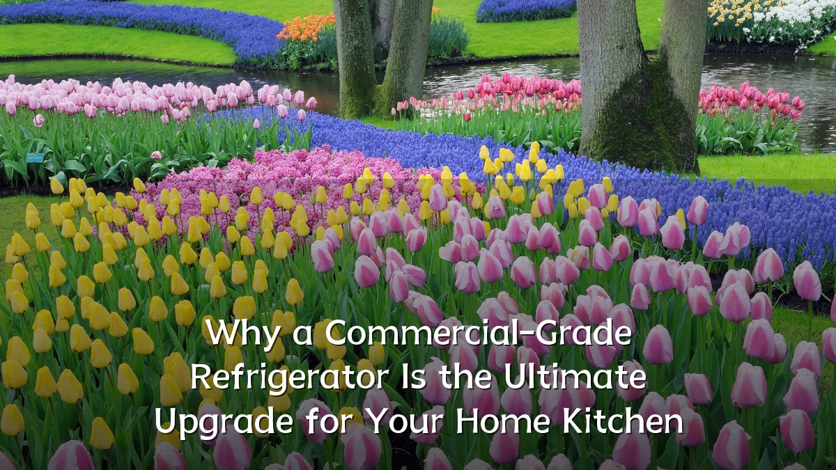 Why a Commercial-Grade Refrigerator Is the Ultimate Upgrade for Your Home Kitchen