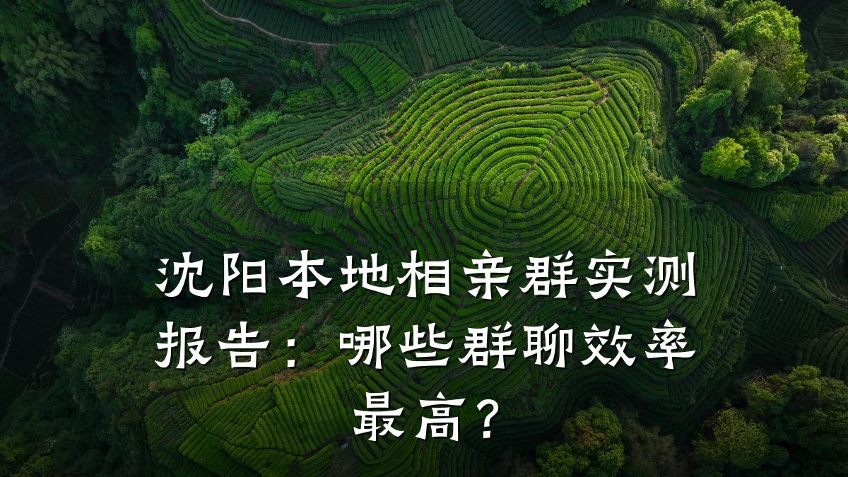 沈阳本地相亲群实测报告：哪些群聊效率最高？