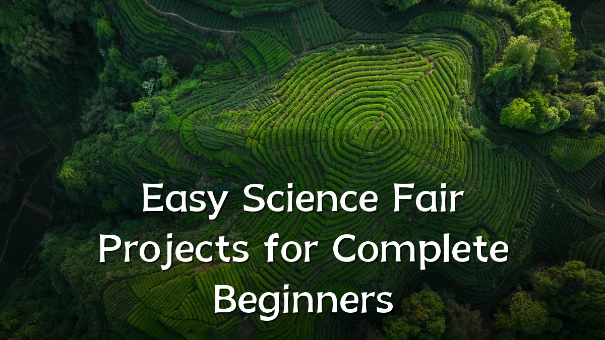 Easy Science Fair Projects for Complete Beginners