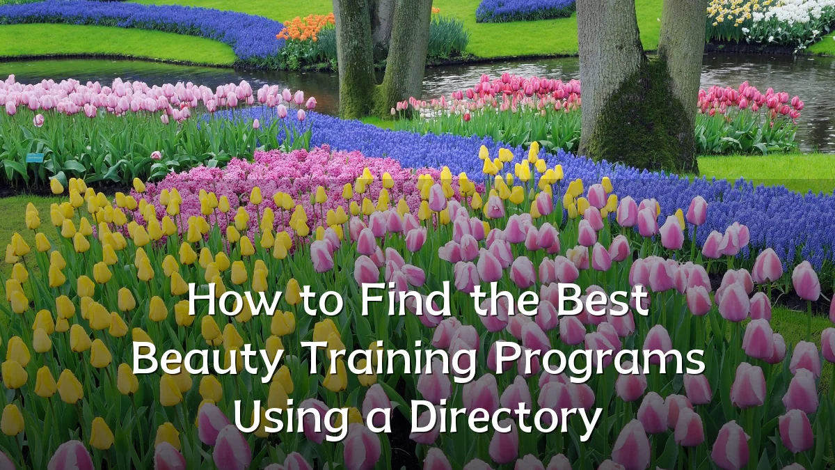 How to Find the Best Beauty Training Programs Using a Directory