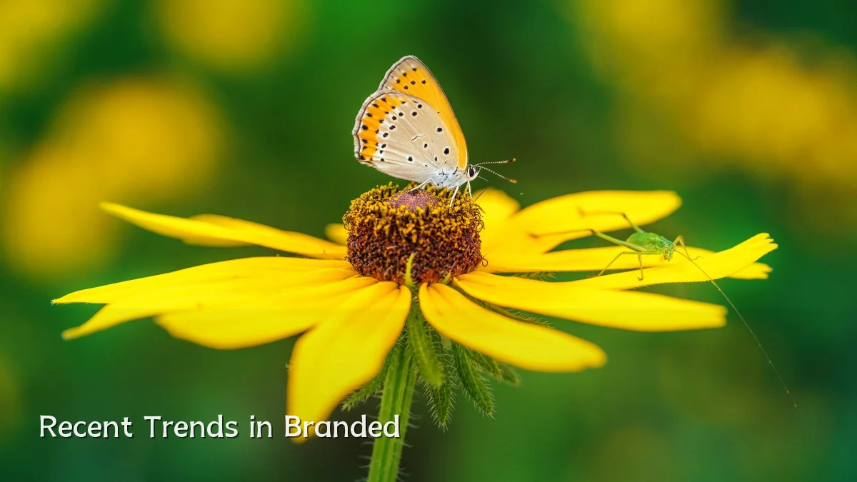 Recent Trends in Branded