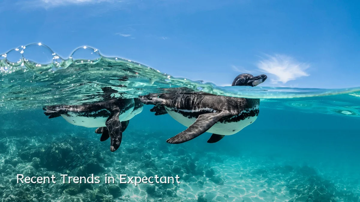 Recent Trends in Expectant