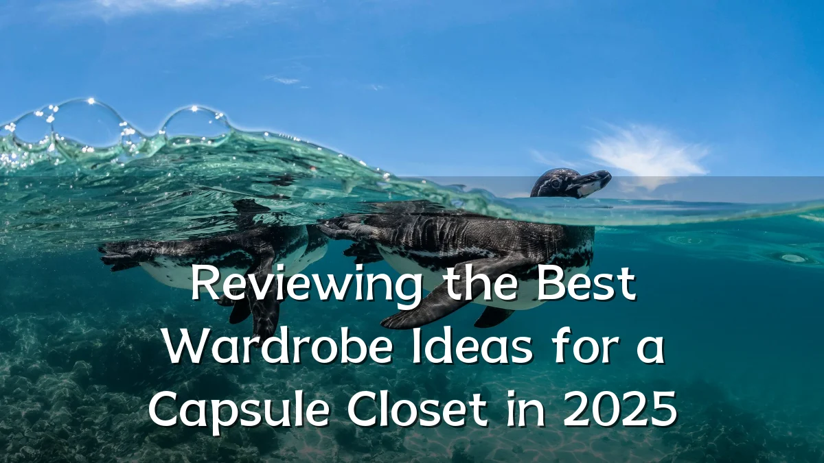 Reviewing the Best Wardrobe Ideas for a Capsule Closet in 2025