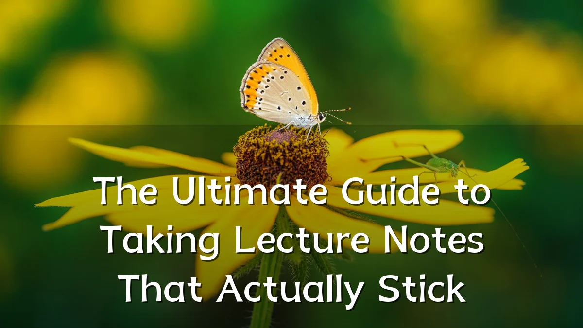 The Ultimate Guide to Taking Lecture Notes That Actually Stick