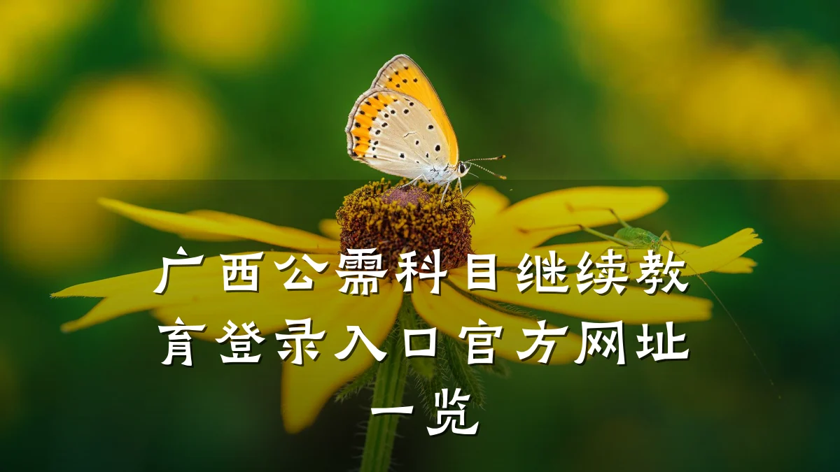 广西公需科目继续教育登录入口官方网址一览
