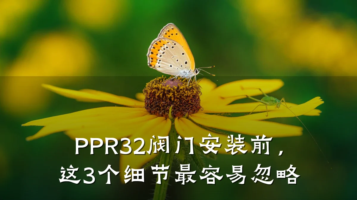 PPR32阀门安装前,这3个细节最容易忽略
