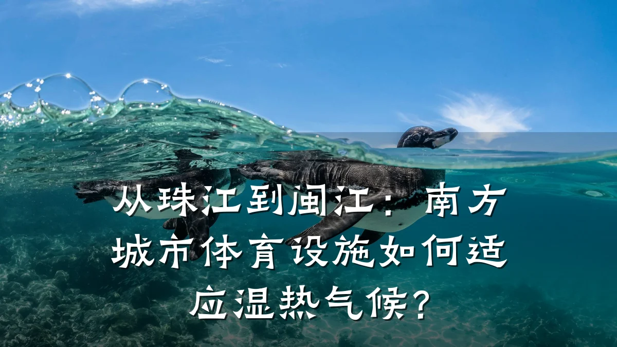 从珠江到闽江:南方城市体育设施如何适应湿热气候?